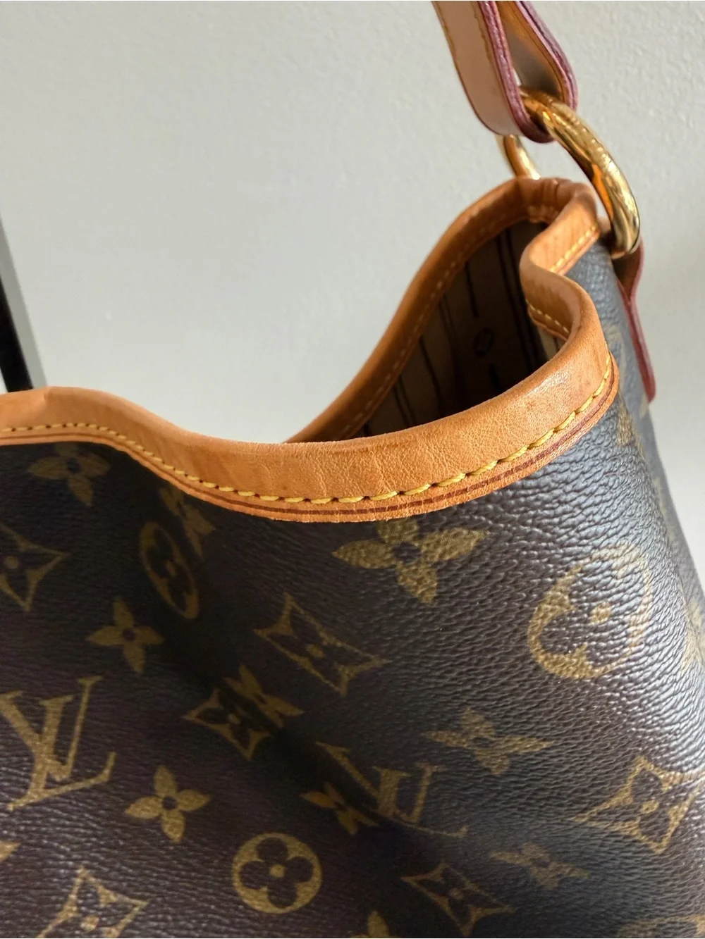 Louis Vuitton Monogram Delightful MM Canvas Bag Handbag